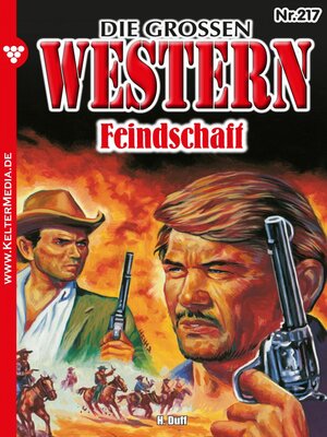 cover image of Feindschaft